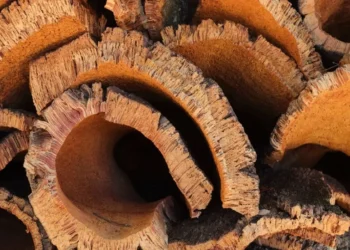 APCOR satisfeita com isenção de tarifas para a cortiça