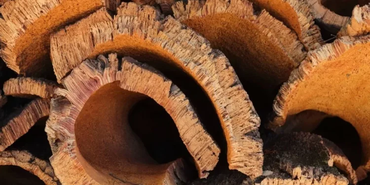 APCOR satisfeita com isenção de tarifas para a cortiça