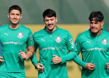 Palmeiras tem praticamente força máxima para enfrentar o Corinthians