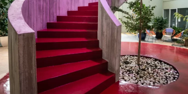 Tecnológica Plexus Tech adquire portuguesa BI4ALL para expansão no país e mercados internacionais