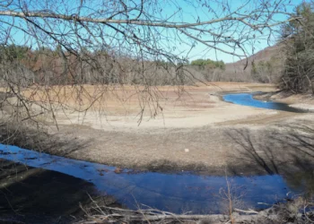 Degradação dos solos ameaça agravar aumento dos preços dos alimentos