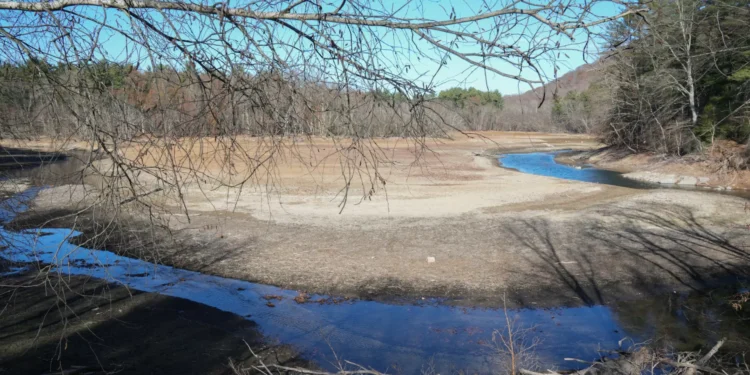 Degradação dos solos ameaça agravar aumento dos preços dos alimentos
