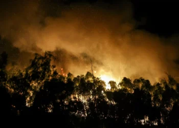 Incêndios. Cerca de oito mil clientes estavam sem luz pelas 22h00