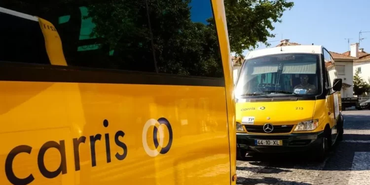 Carris lamenta vítimas e diz que última inspeção foi feita em 2024