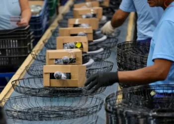 Santa Catarina lidera crescimento da atividade econômica no país