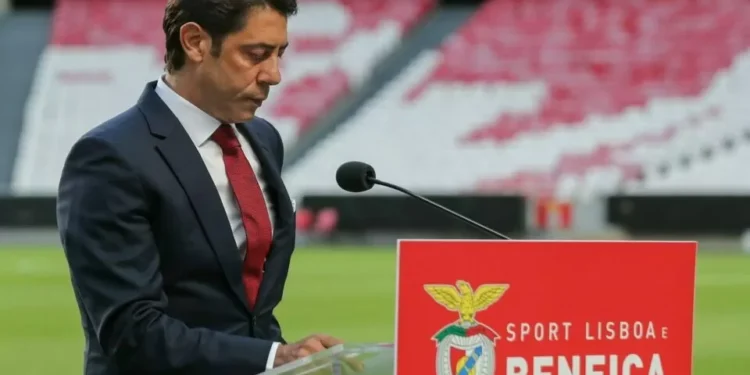 SAD do Benfica com lucros de 34,4 milhões aprova contas com larga maioria