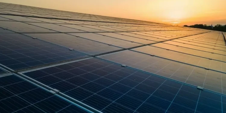 Britânicos investem 600 milhões em central solar em Castelo Branco