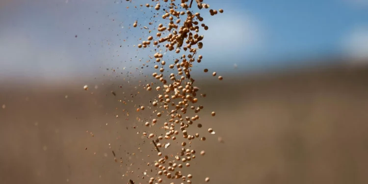 Soja atinge máxima de 4 meses em Chicago com esperança de acordo entre EUA e China