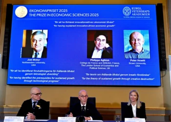 Nobel de Economia: teoria levanta debate sobre redes e tarifas, diz economista