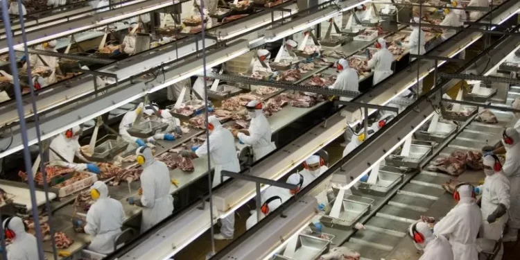 Indústria acumula sete meses de queda: preços recuam 0,20% em agosto