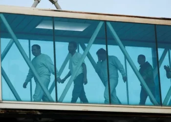 Deportações de Trump estão destruindo economias locais, dizem empresários