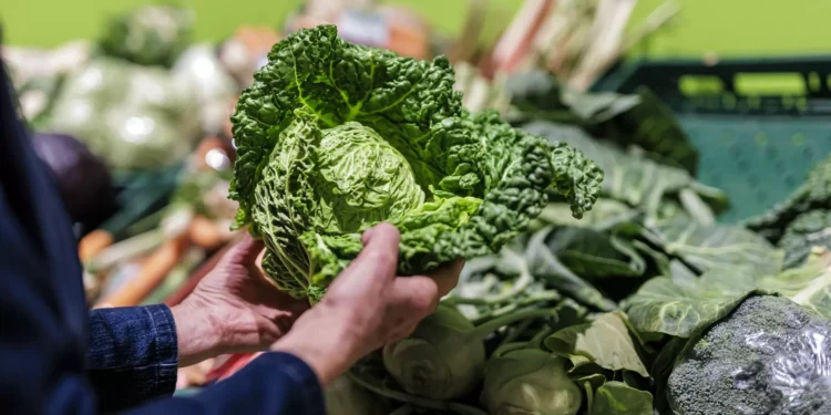 Inflação desce para 2,4% em setembro