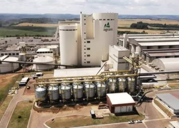 Agrária vai investir R$ 1,1 bilhão para produção de maltes especiais em Guarapuava