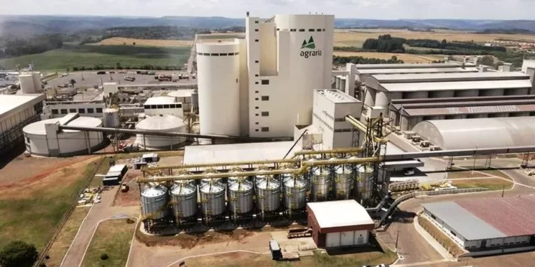 Agrária vai investir R$ 1,1 bilhão para produção de maltes especiais em Guarapuava