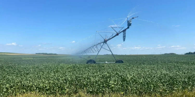 China compra soja dos EUA após promessa a Trump, mas a preço alto, dizem traders