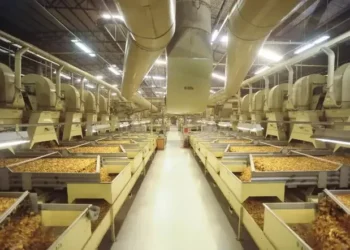 Exportações gaúchas para os EUA caem 34%