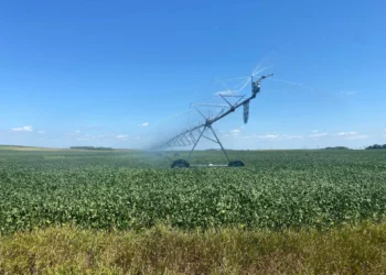 China compra soja dos EUA após promessa a Trump, mas a preço alto, dizem traders