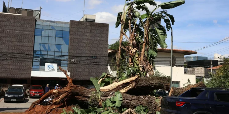 Apagão em SP pode ter causado prejuízo de até R$ 77,5 milhões ao comércio, diz ACSP