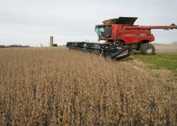 Chance de transição do La Niña para a neutralidade até março é de 75%, diz CPC