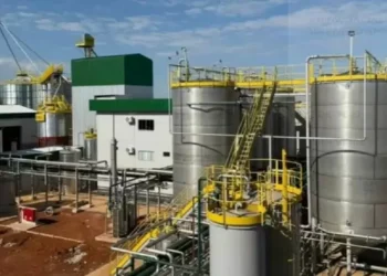 Primeira usina de etanol de trigo do país entra em operação no RS