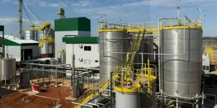 Primeira usina de etanol de trigo do país entra em operação no RS