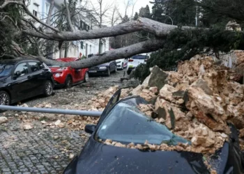 CA Seguros ativa plano especial de resposta após passagem das tempestades Ingrid, Joseph e Kristin