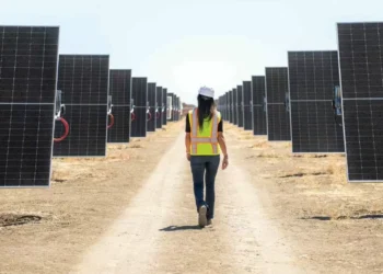 Projetos solares contestados na Beira Baixa vão ser refeitos