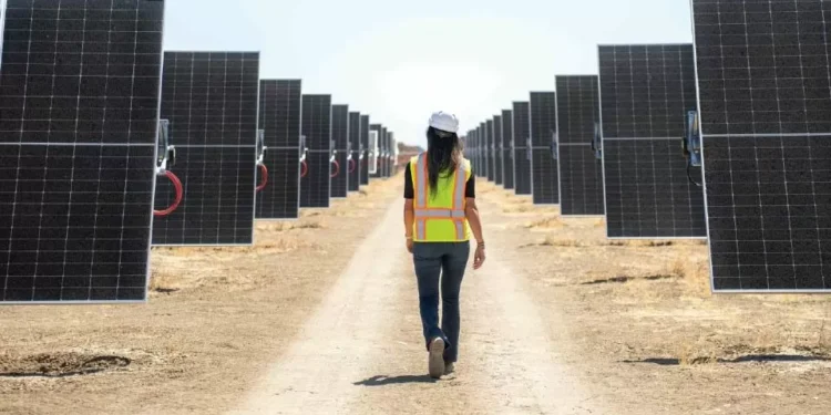 Projetos solares contestados na Beira Baixa vão ser refeitos