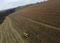 AgRural eleva previsão para safras de soja e milho do Brasil; colheita está acelerada