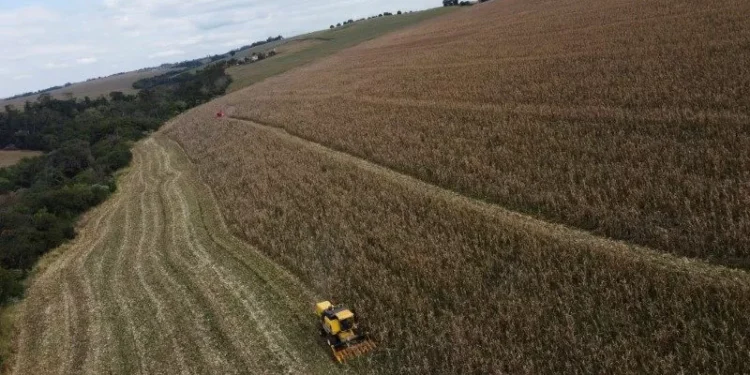 AgRural eleva previsão para safras de soja e milho do Brasil; colheita está acelerada