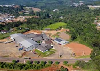 Paraná lança Rota Uva & Vinho para impulsionar vitivinicultura