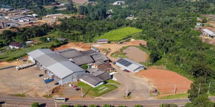 Paraná lança Rota Uva & Vinho para impulsionar vitivinicultura