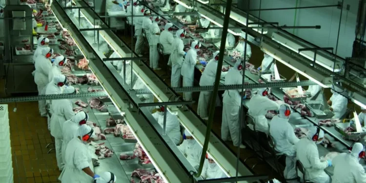 Produção industrial catarinense fecha 2025 com alta de 3,2%