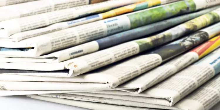 Luísa Meireles será a nova presidente da Comissão da Carteira de Jornalista