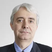 Falcão em pele de pombo