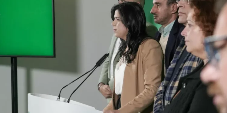 Mau tempo: PAN defende remodelação no Governo depois de superadas as tempestades