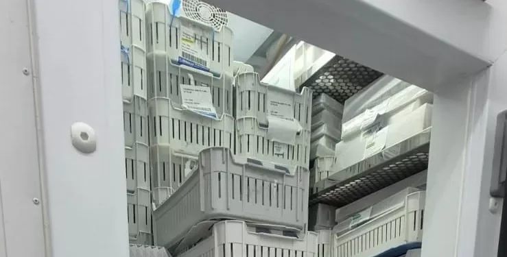 Polícia apreende 90 mil remédios ilegais para emagrecimento em SP