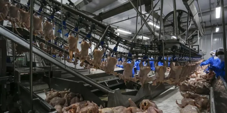 Brasil regulamentará salvaguardas em acordos comerciais