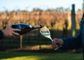 Vinícola Aurora atinge faturamento recorde de R$ 874 milhões