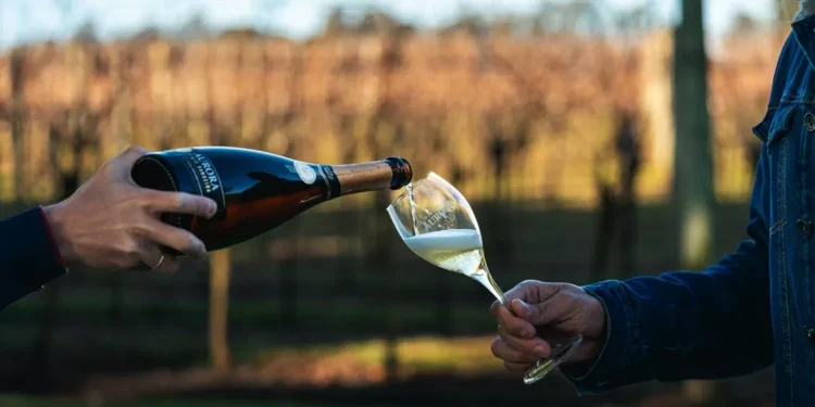 Vinícola Aurora atinge faturamento recorde de R$ 874 milhões