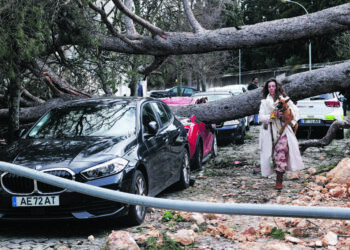 Mau Tempo: Proteção Civil alerta para inundações, cheias e deslizamento de terras