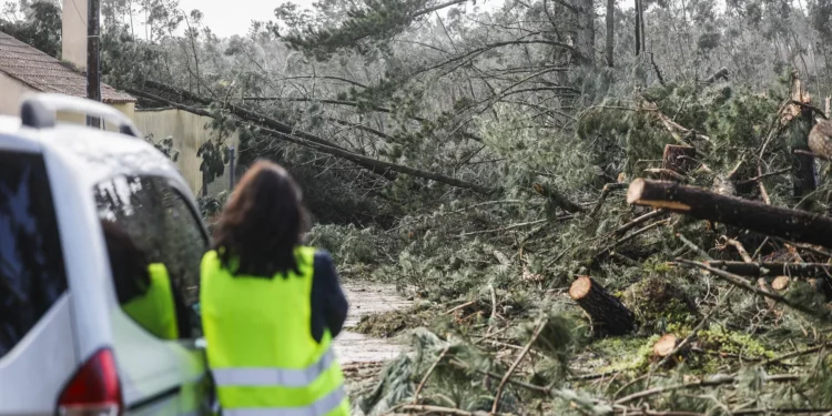 Área Metropolitana de Lisboa contabiliza prejuízos de cerca de 270 ME